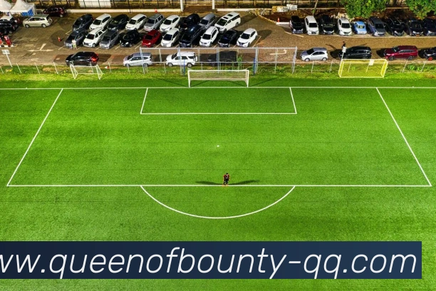 赏金女王试玩平台生态图